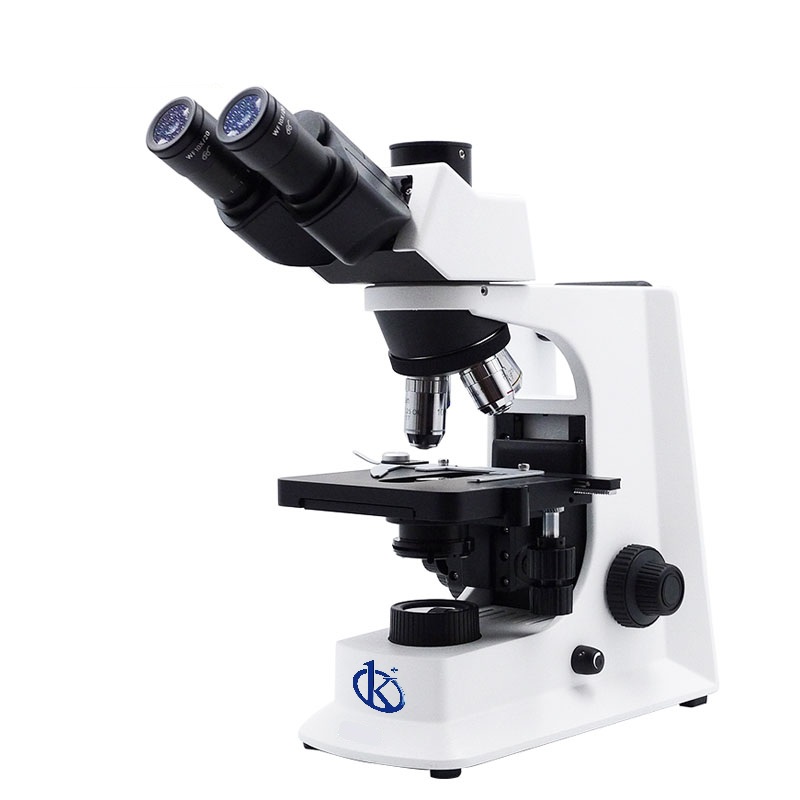 Microscope Biologique de Laboratoire Binoculaire Plat YR07017-B