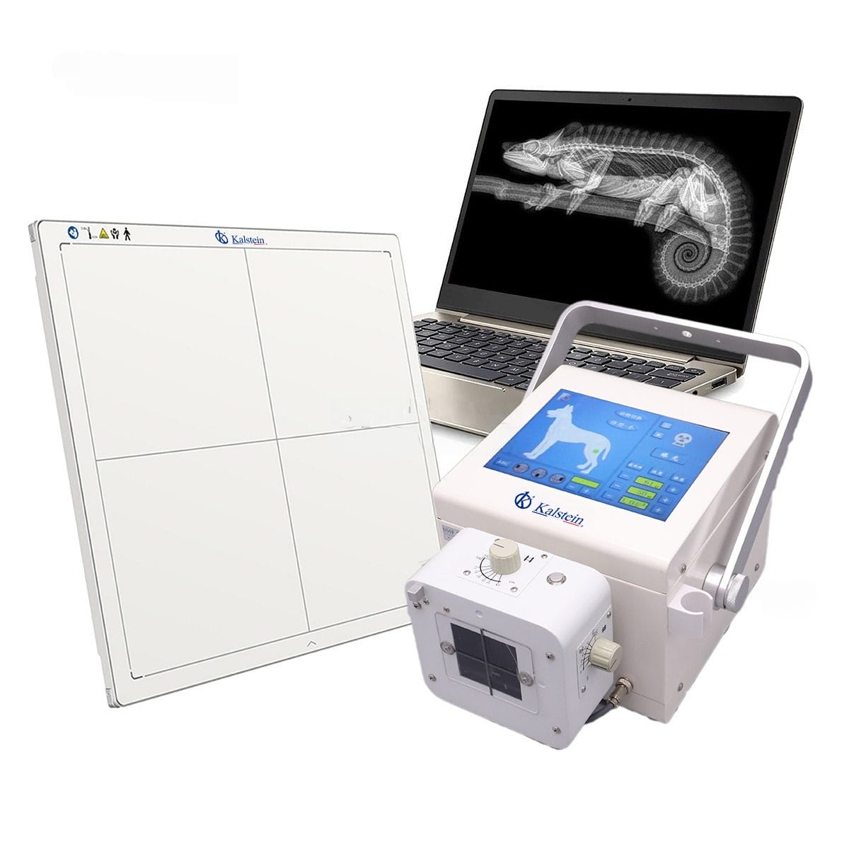 Radiographie numérique vétérinaire YR06160