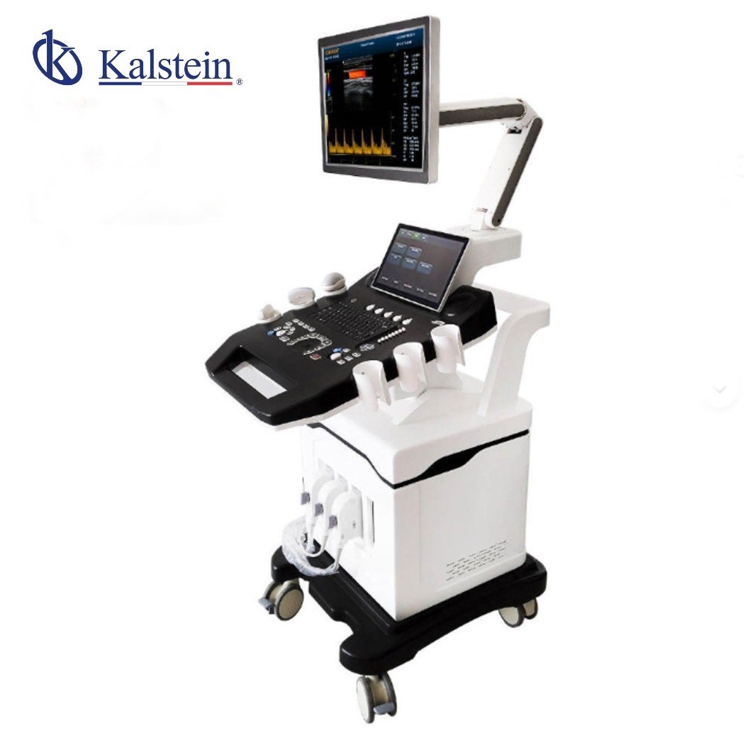Échographe Doppler couleur 3D/4D haut de YR06635