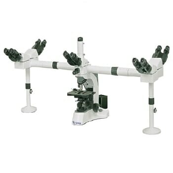 Qu'est-ce qu'un Microscope à Lumière Transmise et un Microscope à Lumière Réfléchie ?