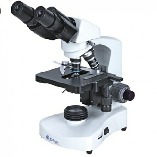 Microscope optique et microscope stéréoscopique : quelles sont les différences