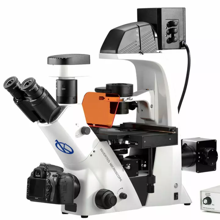 Comment installer correctement votre microscope optique?