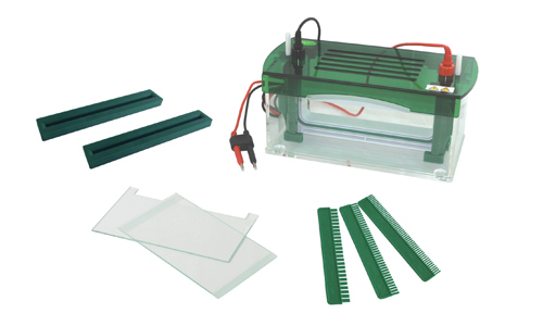 Électrophorèse : quels sont les réactifs nécessaires ?