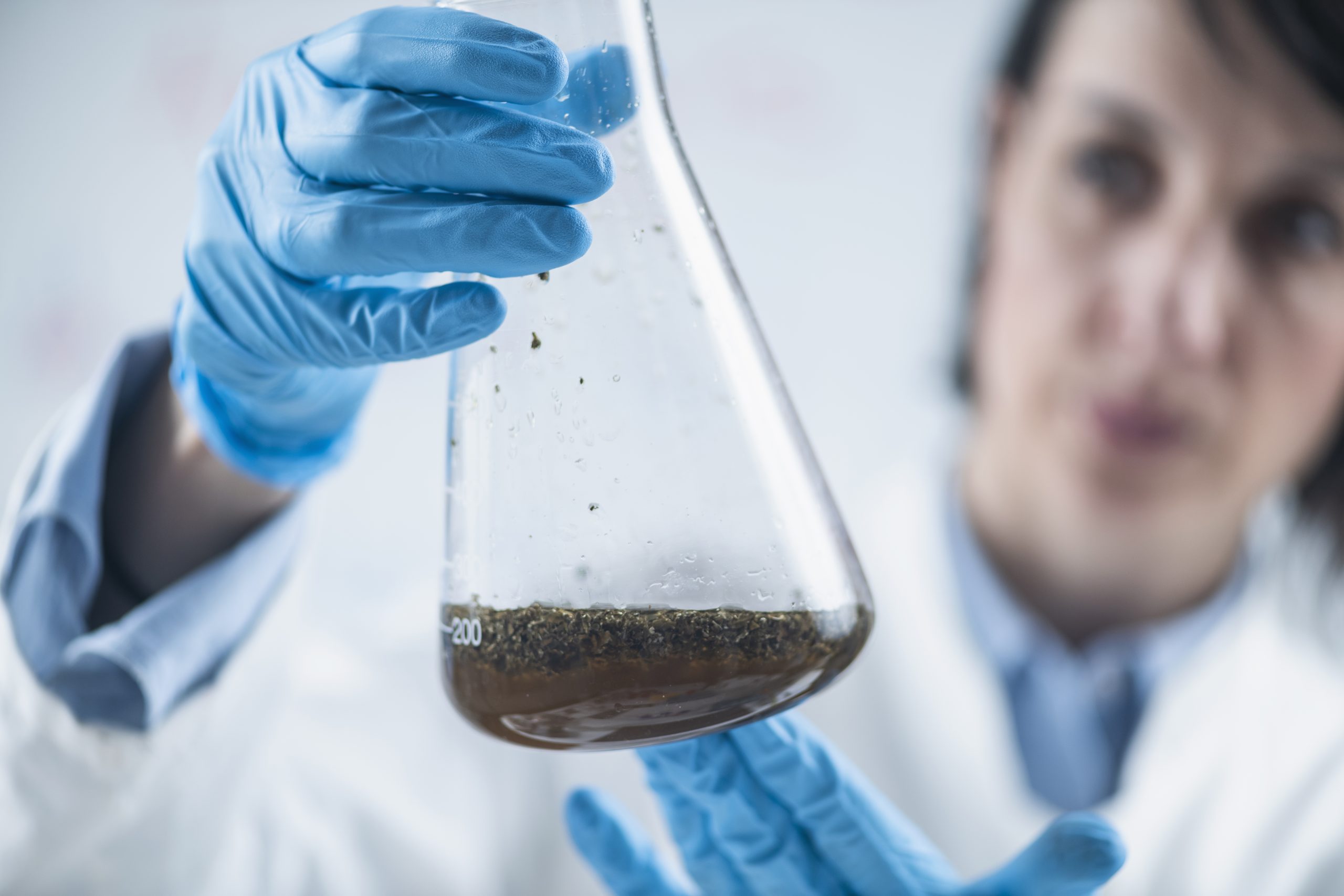 Qu'est-ce qu'un purificateur d'eau ?