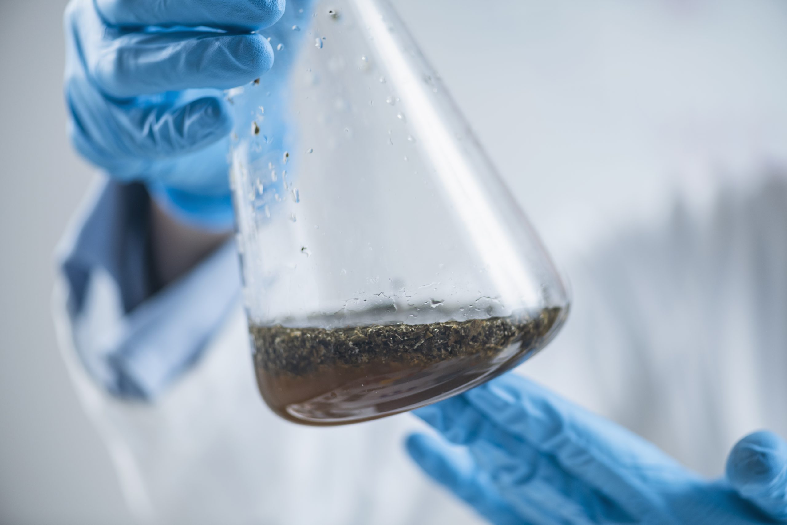 Osmose inverse et purification de l'eau