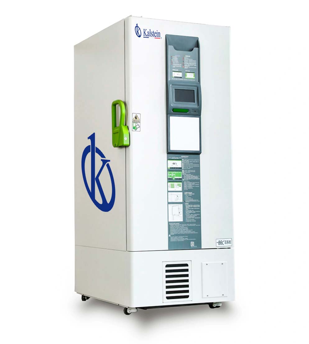 588 Liters en acier pulvérisé couleur Freezer droit de laboratoire YR05303