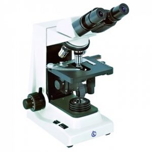 Détection du Papillomavirus Humain avec l'utilisation du Microscope