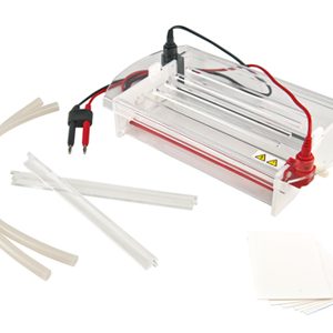 Importance de l'électrophorèse pour les tests de paternité
