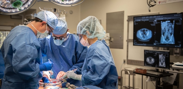 Applications de Navigateurs Chirurgicaux Optiques en Chirurgie Mammaire