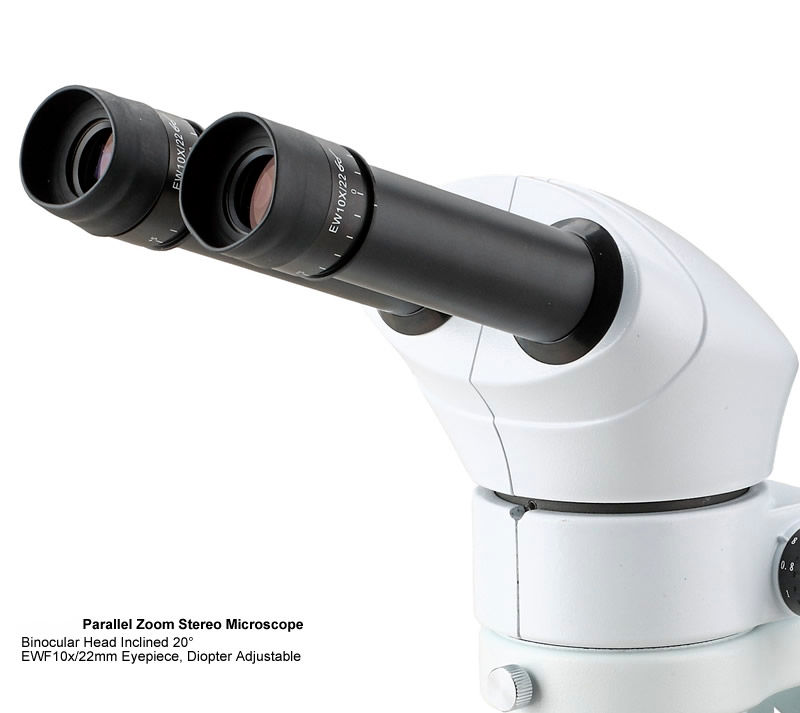 Microscope Stéréoscopique à zoom YR0246 // YR0248 – 1