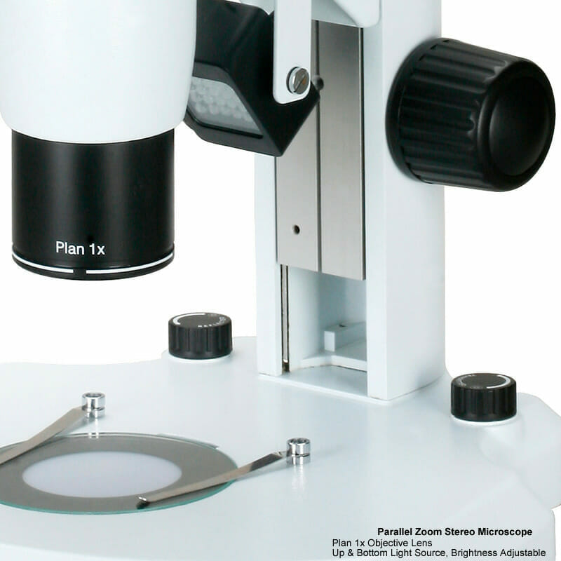 Microscope Stéréoscopique à zoom YR0246 // YR0248 – 2