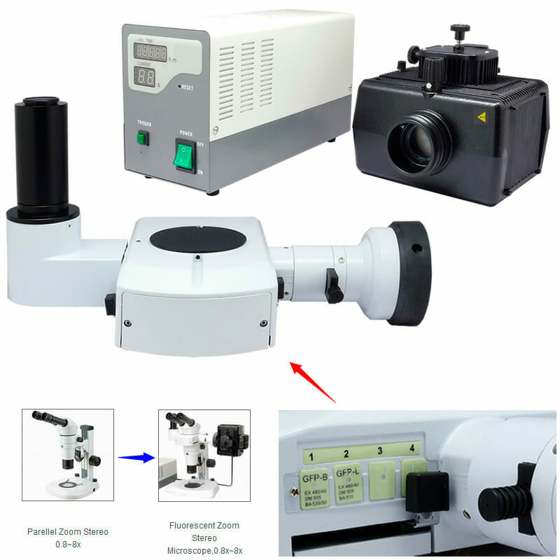 Microscope Stéréoscopique à zoom YR0246 // YR0248 – 5