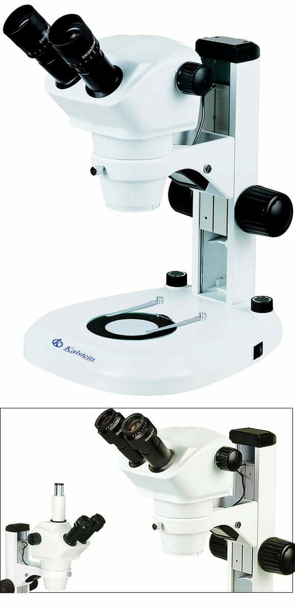 Microscope Binoculaire de Laboratoire YR0254 – 2