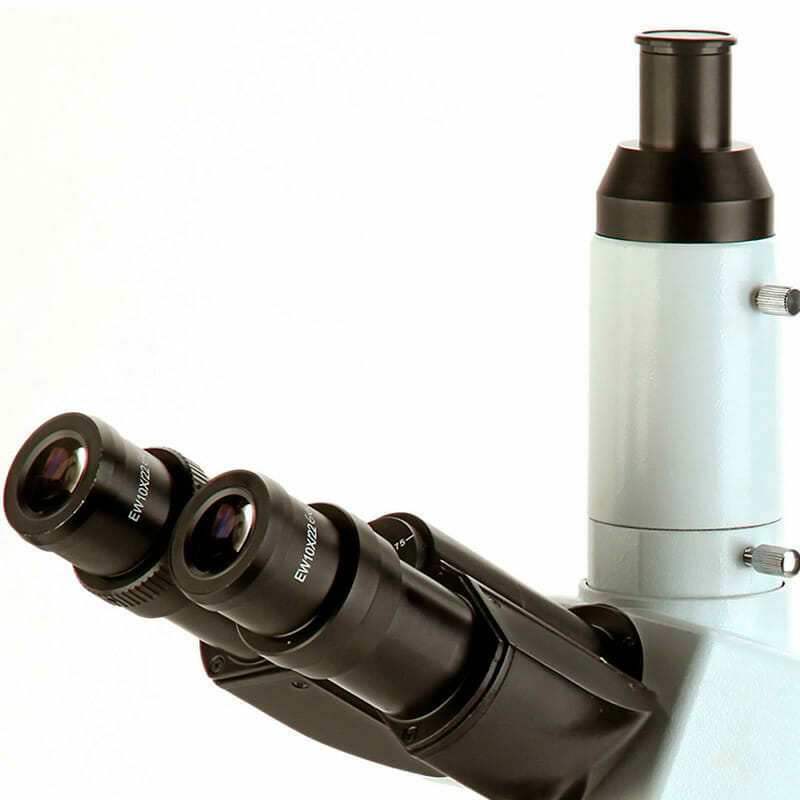 Explorez le Monde Microscopique avec les Microscopes de Kalstein