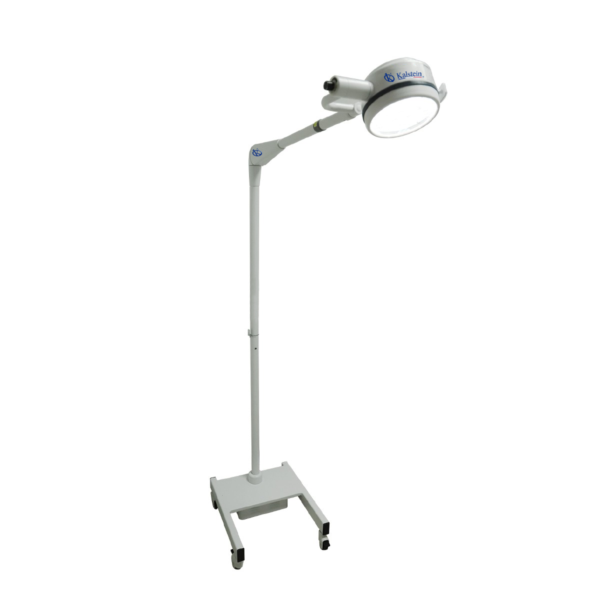Illuminez Vos Soins Animaliers : Les Lampes Vétérinaires de Kalstein