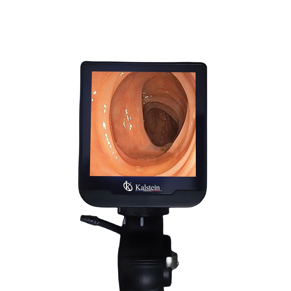 Démonstration de l'Innovation Vétérinaire : Le Vidéo Endoscope Vétérinaire de Kalstein