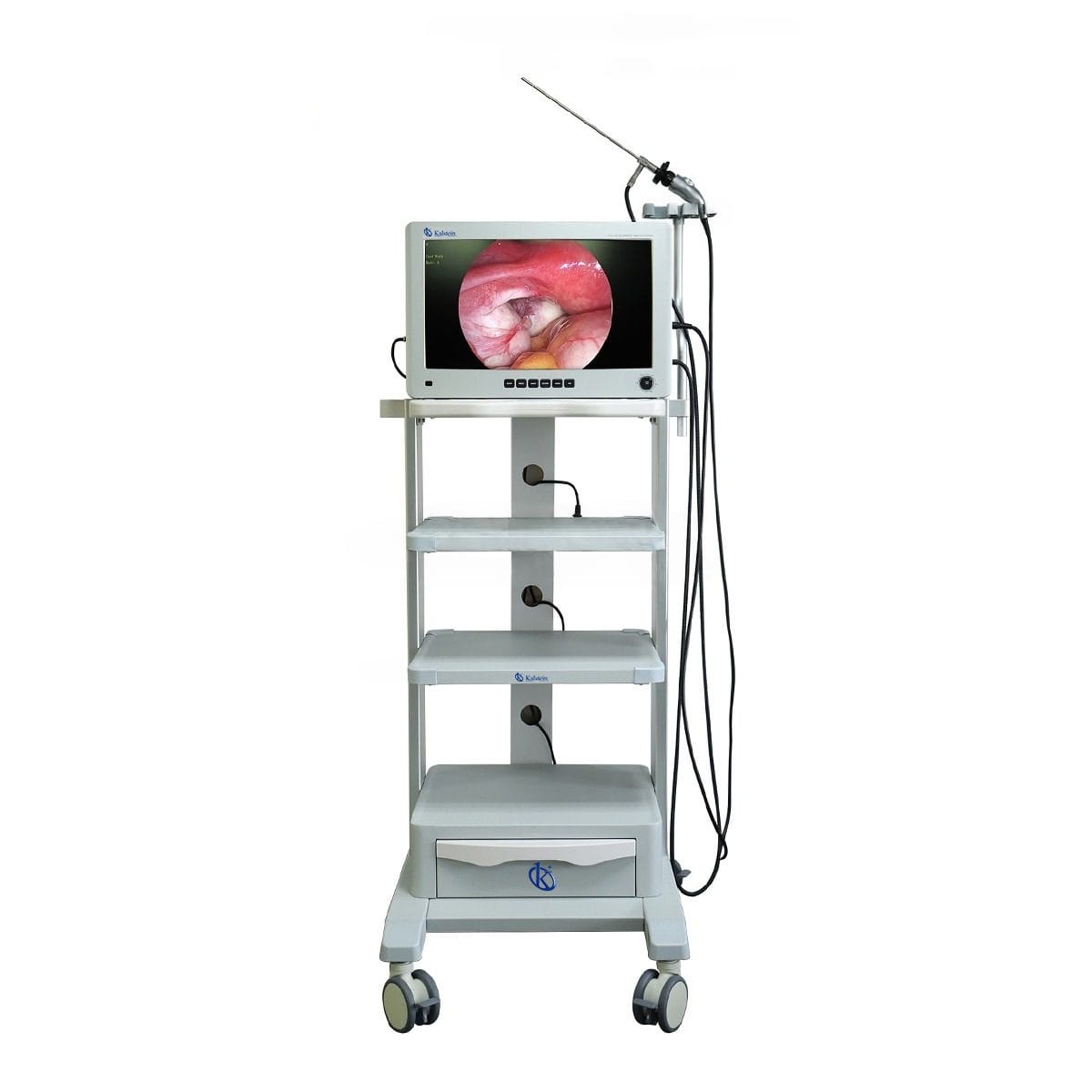 Optimisez votre Pratique Vétérinaire avec l'Équipement Chirurgical Avancé
