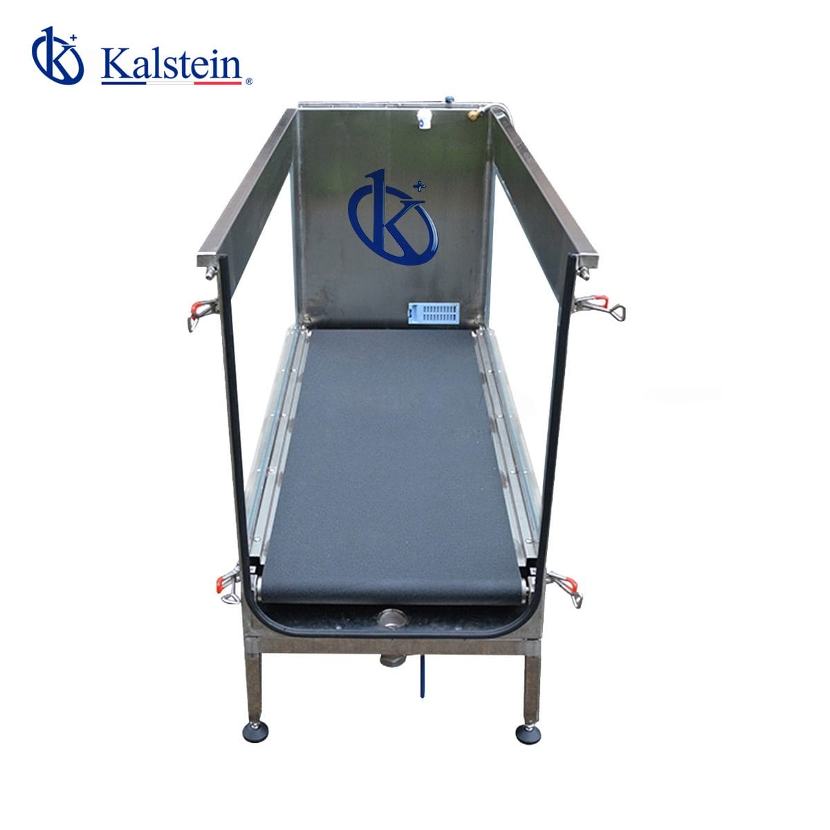 Tapis Roulant Sous Marin Vétérinaire : Une Révolution dans la Rééducation Animale