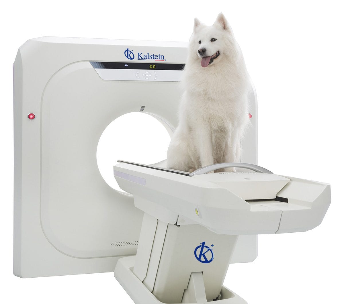 Exploration des profondeurs: Un regard sur les Équipements d'Imagerie Vétérinaire de Kalstein