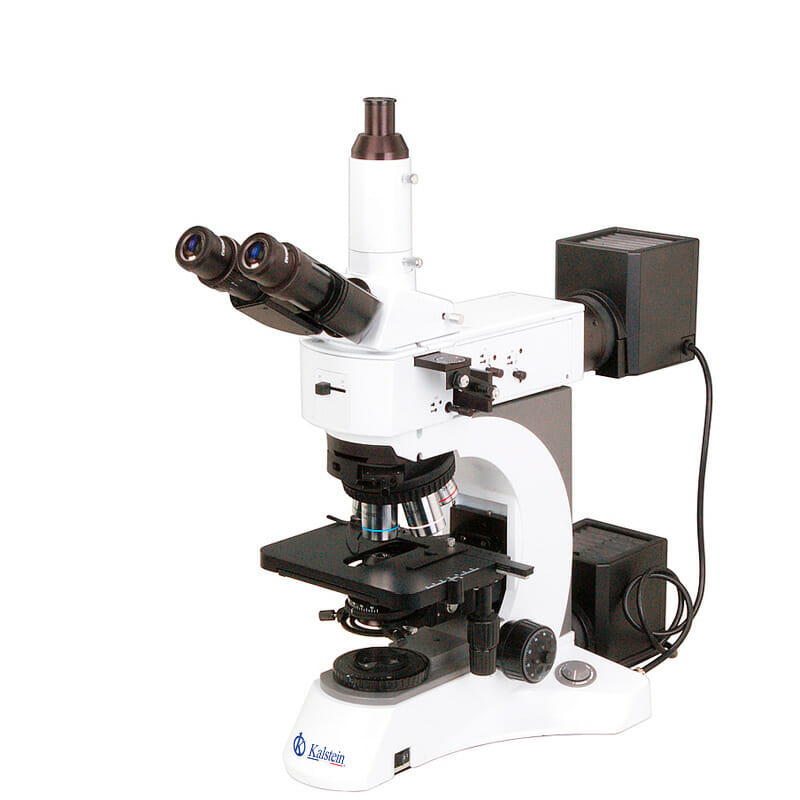 Explorez les Possibilités Illimitées avec les Microscopes de Kalstein