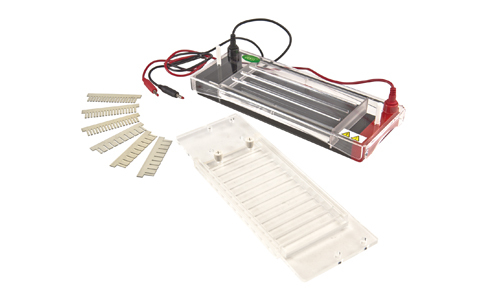 Systèmes d'Électrophorèse Horizontale: Comparaison et Analyse des Options Leaders du Marché