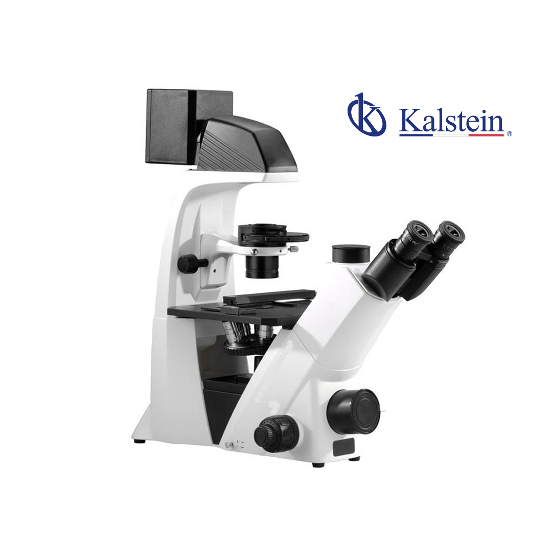 Microscope Biologique Inversé à Contraste de Phase YR06682